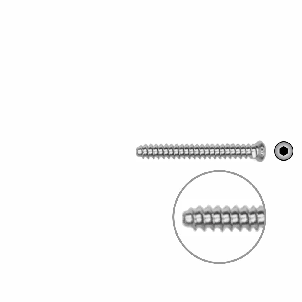 Hollow Screw 3,5 x 30mm full thread SELF TAPPING 