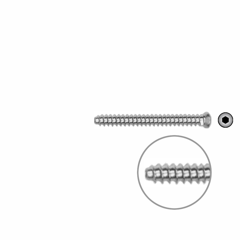 Hollow Screw 3,5 x 34mm full thread SELF TAPPING 