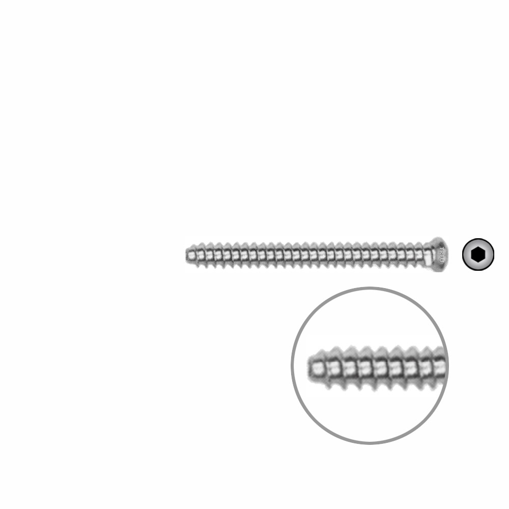 Hollow Screw 3,5 x 36mm full thread SELF TAPPING 