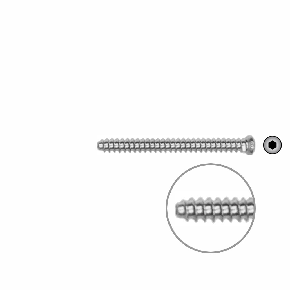 Hollow Screw 3,5 x 38mm full thread SELF TAPPING 