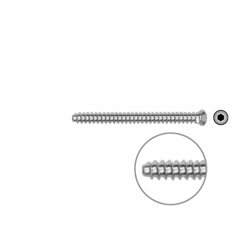 Hollow Screw 3,5 x 40mm full thread SELF TAPPING 