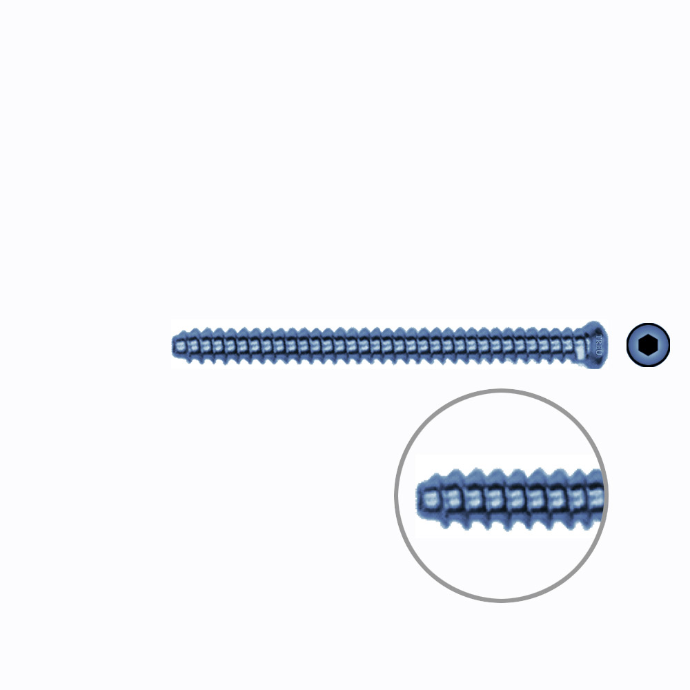 Hollow Screw 3,5 x 44mm VG SELF TAPPING TITANIUM 