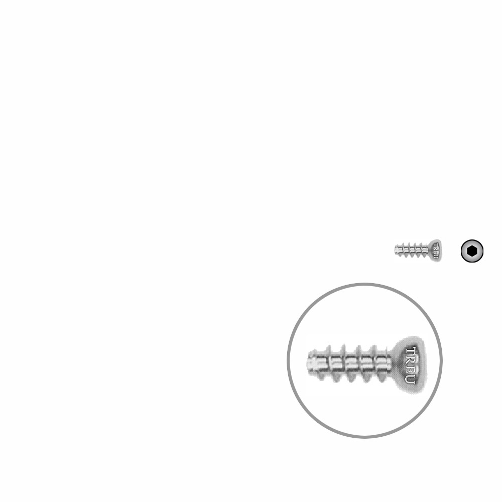 Hollow screw 4,0x10 mm self cutting 