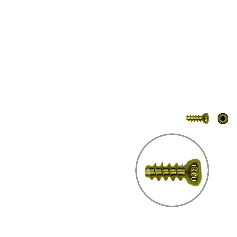 Hollow screw 4,0x10 mm self cutting Titan 