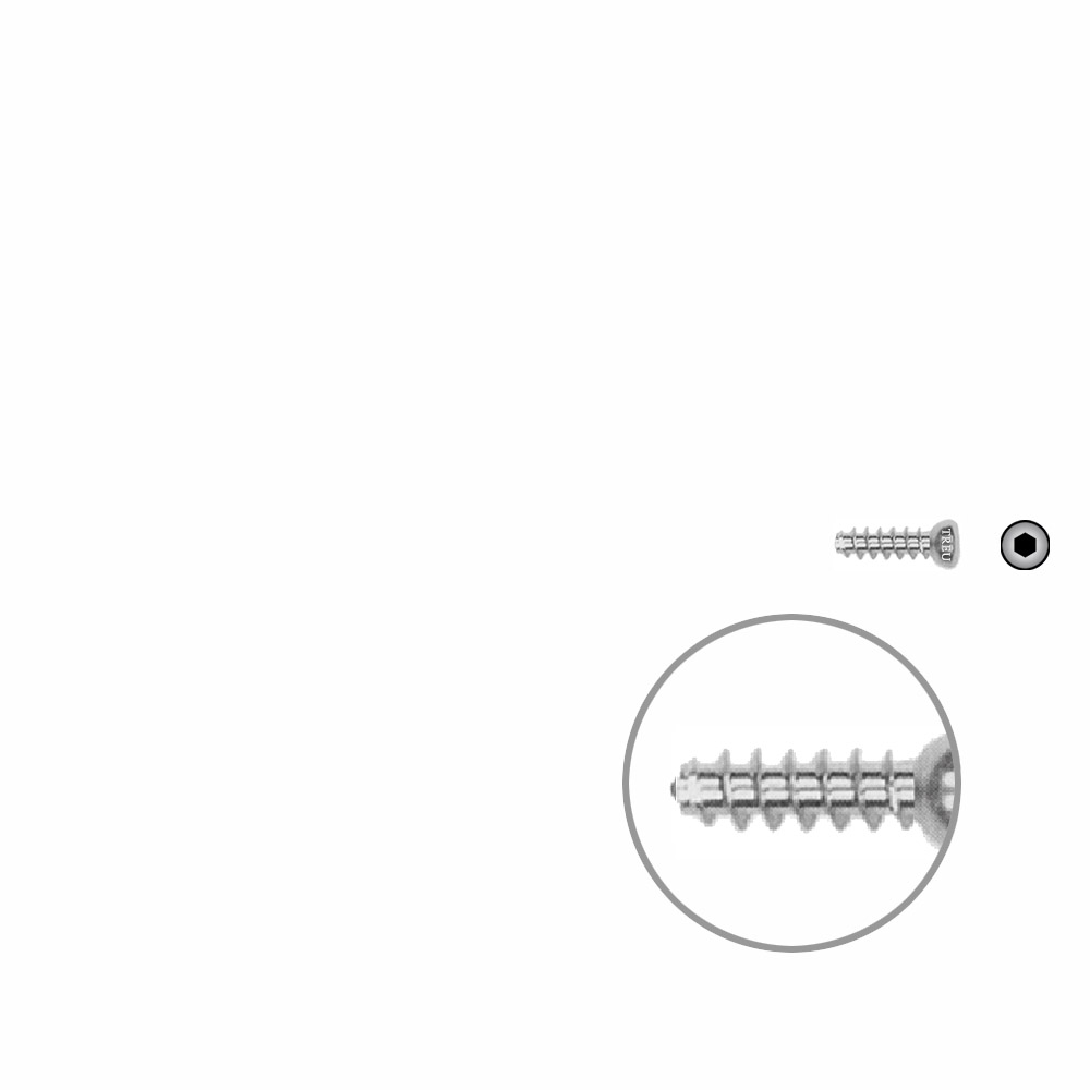 Hollow screw 4,0x12 mm self cutting 