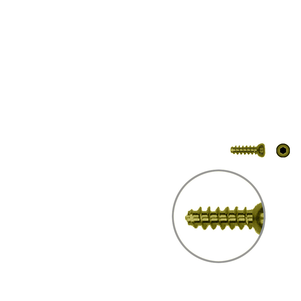 Hollow screw 4,0x12 mm self cutting Titan 