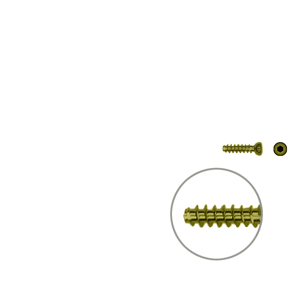 Hohlschraube 4,0 x 14mm HG Titan SELBSTSCHNEIDEND 