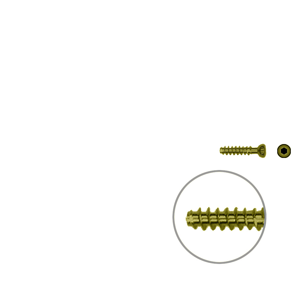 Hohlschraube 4,0 x 16mm HG Titan SELBSTSCHNEIDEND 