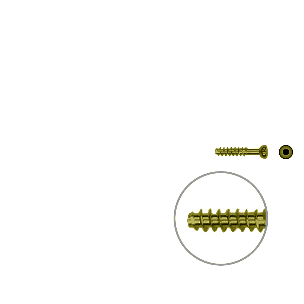 Hollow screw 4,0x18 mm self cutting Titan 