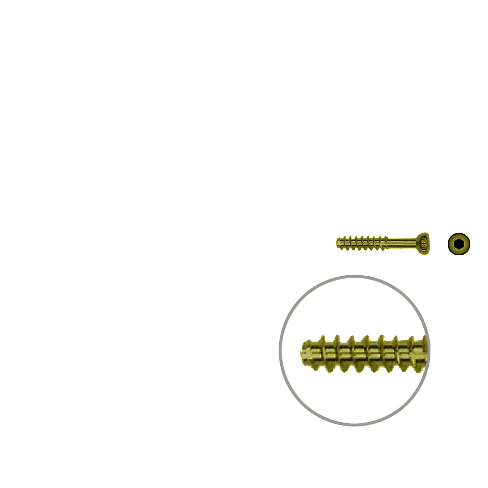 Hollow screw 4,0x20 mm self cutting Titan 