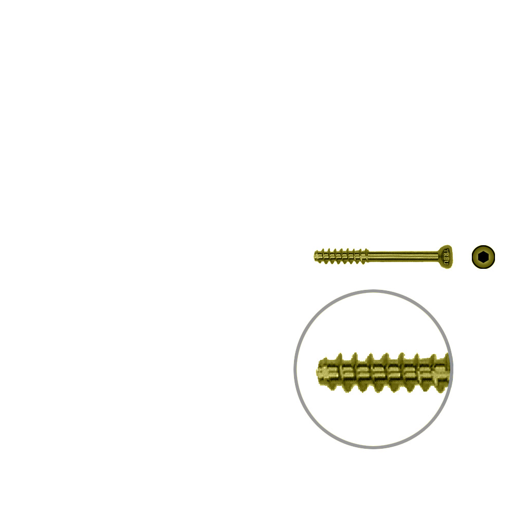 Hollow screw 4,0x28 mm self cutting Titan 