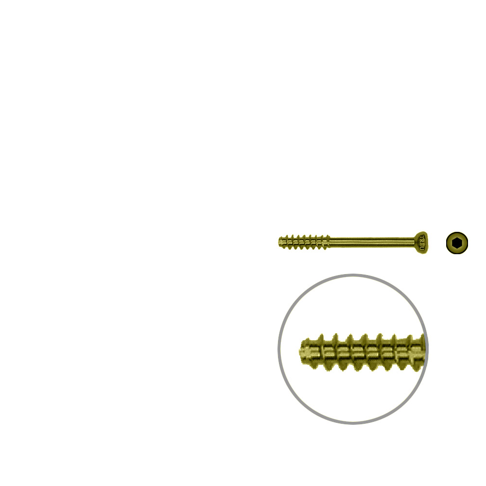 Hollow screw 4,0x32 mm self cutting Titan 