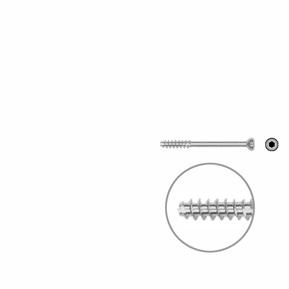 Hollow screw 4,0x34 mm self cutting 