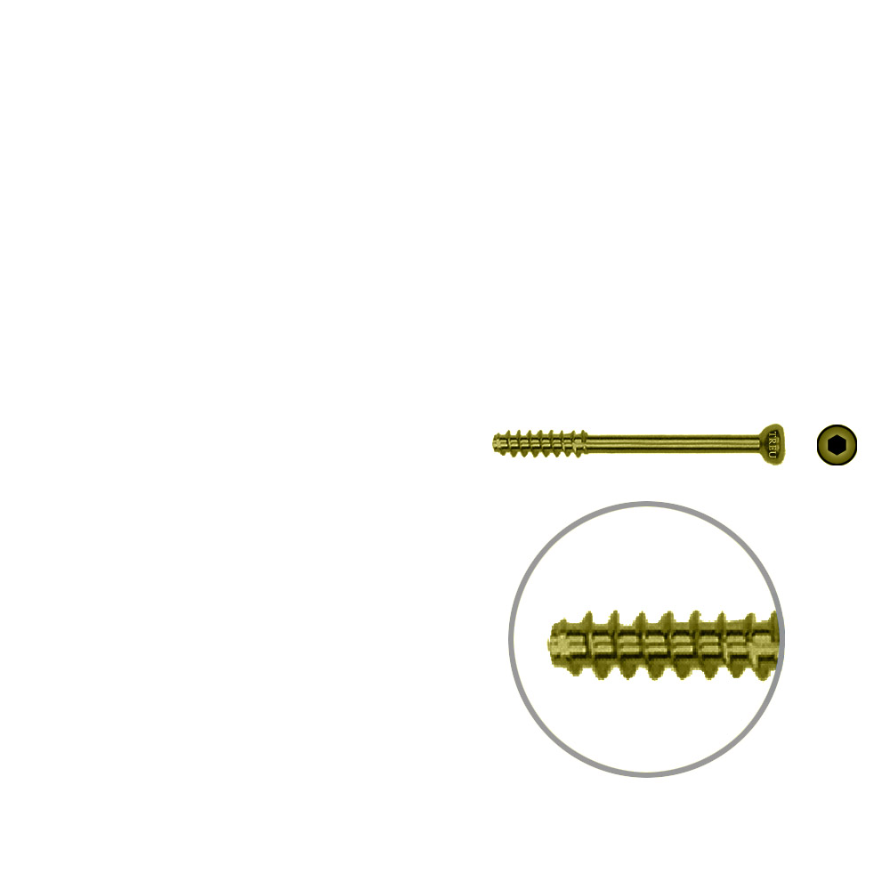 Hollow screw 4,0x34 mm self cutting Titan 