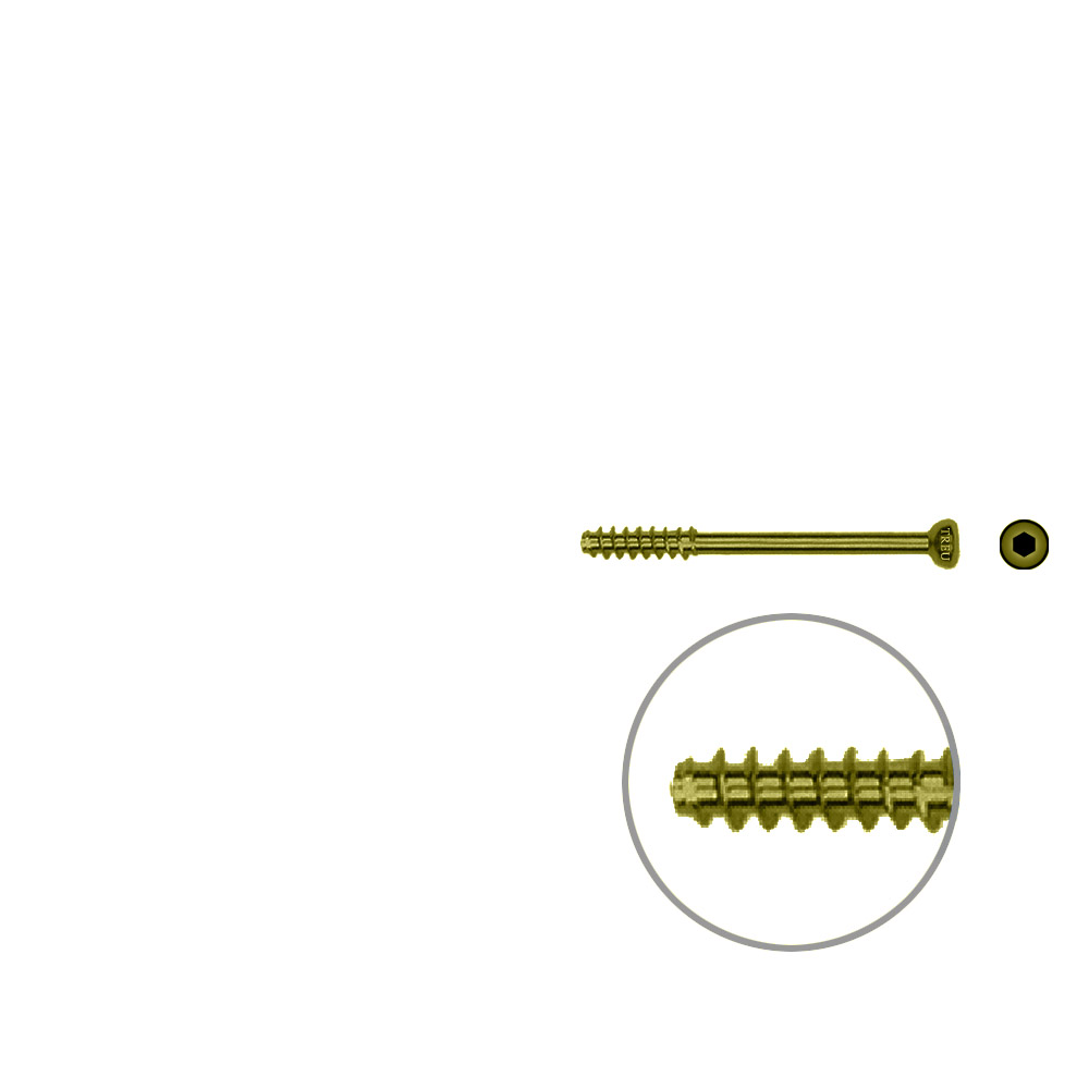 Hollow screw 4,0x36 mm self cutting Titan 