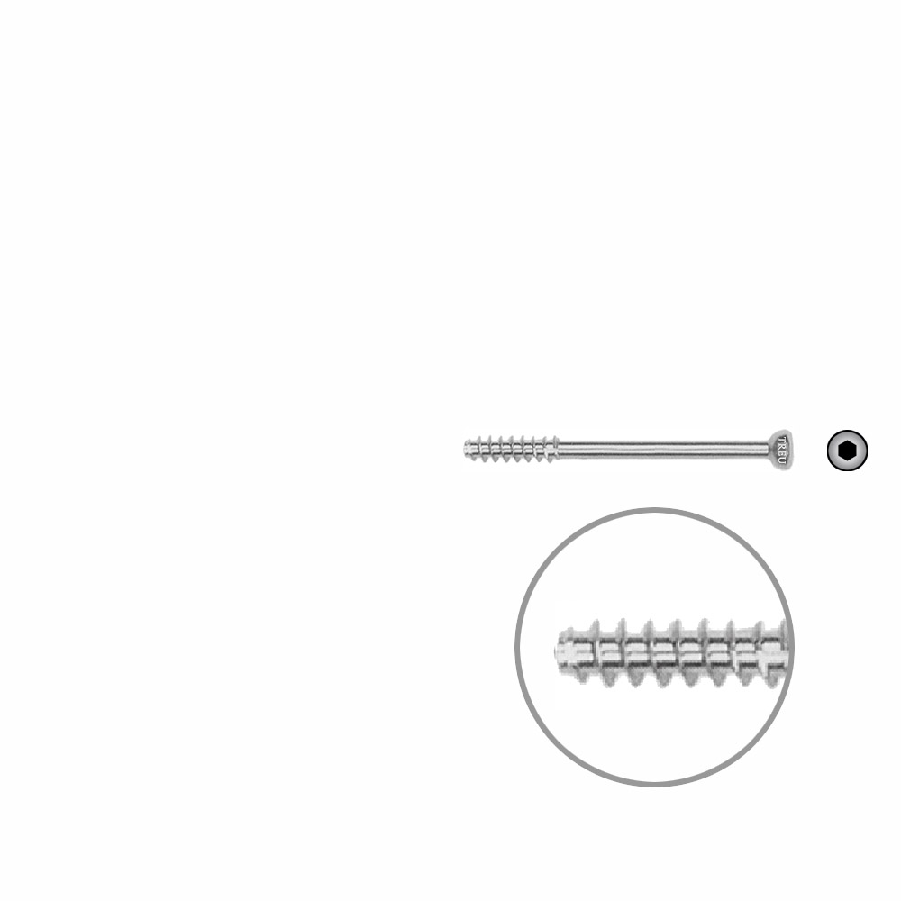 Hollow screw 4,0x38 mm self cutting 