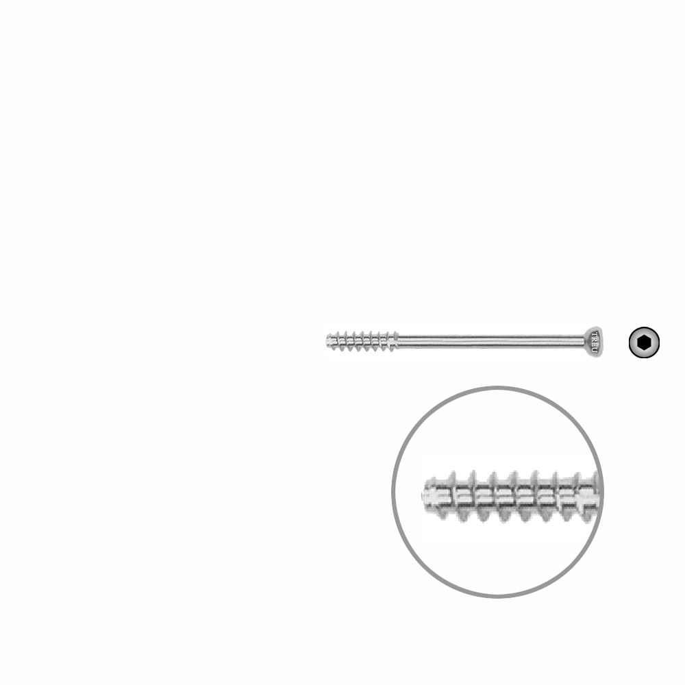 Hohlschraube 4,0 x 42mm HG SELBSTSCHNEIDEND 