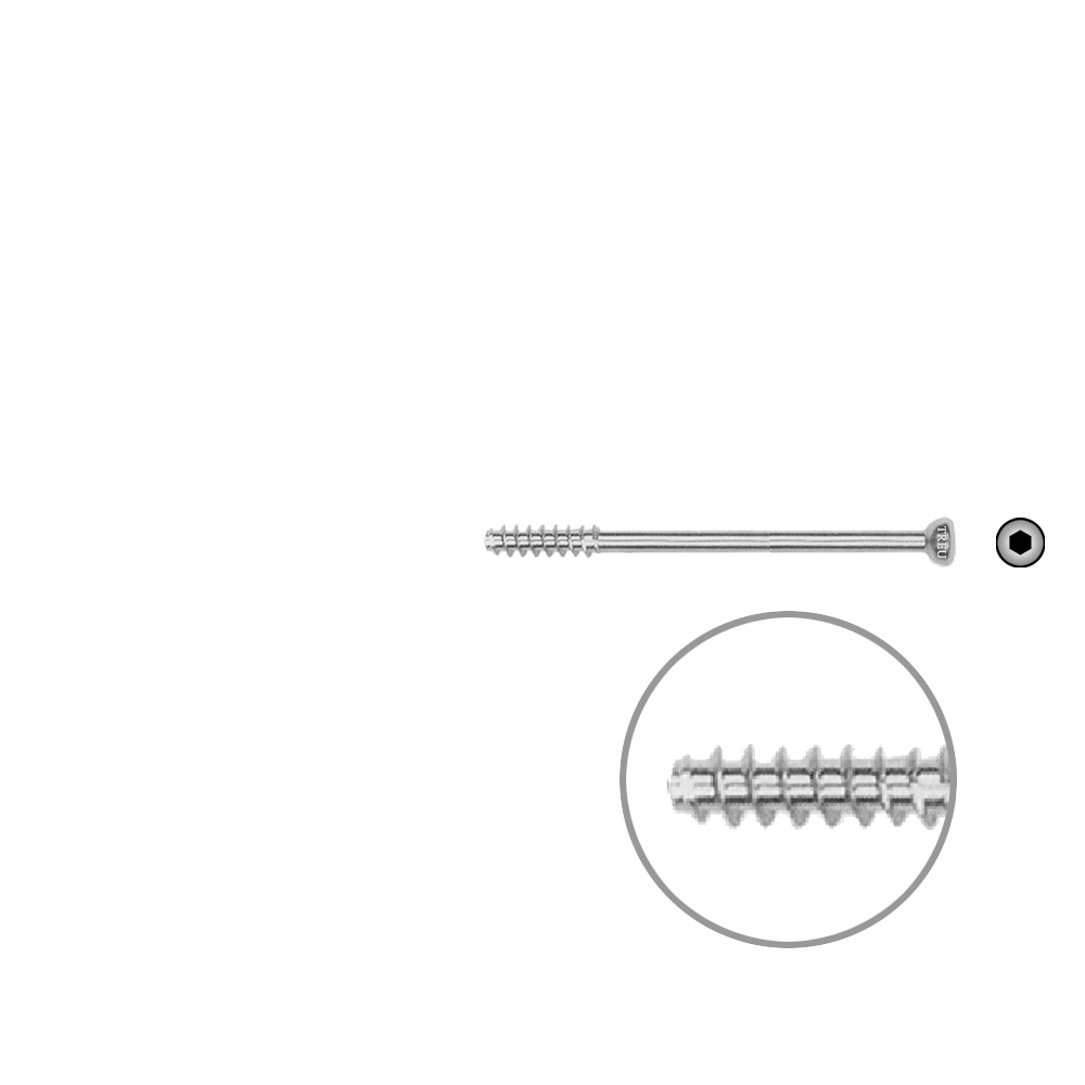 Hollow screw 4,0x45 mm self cutting 