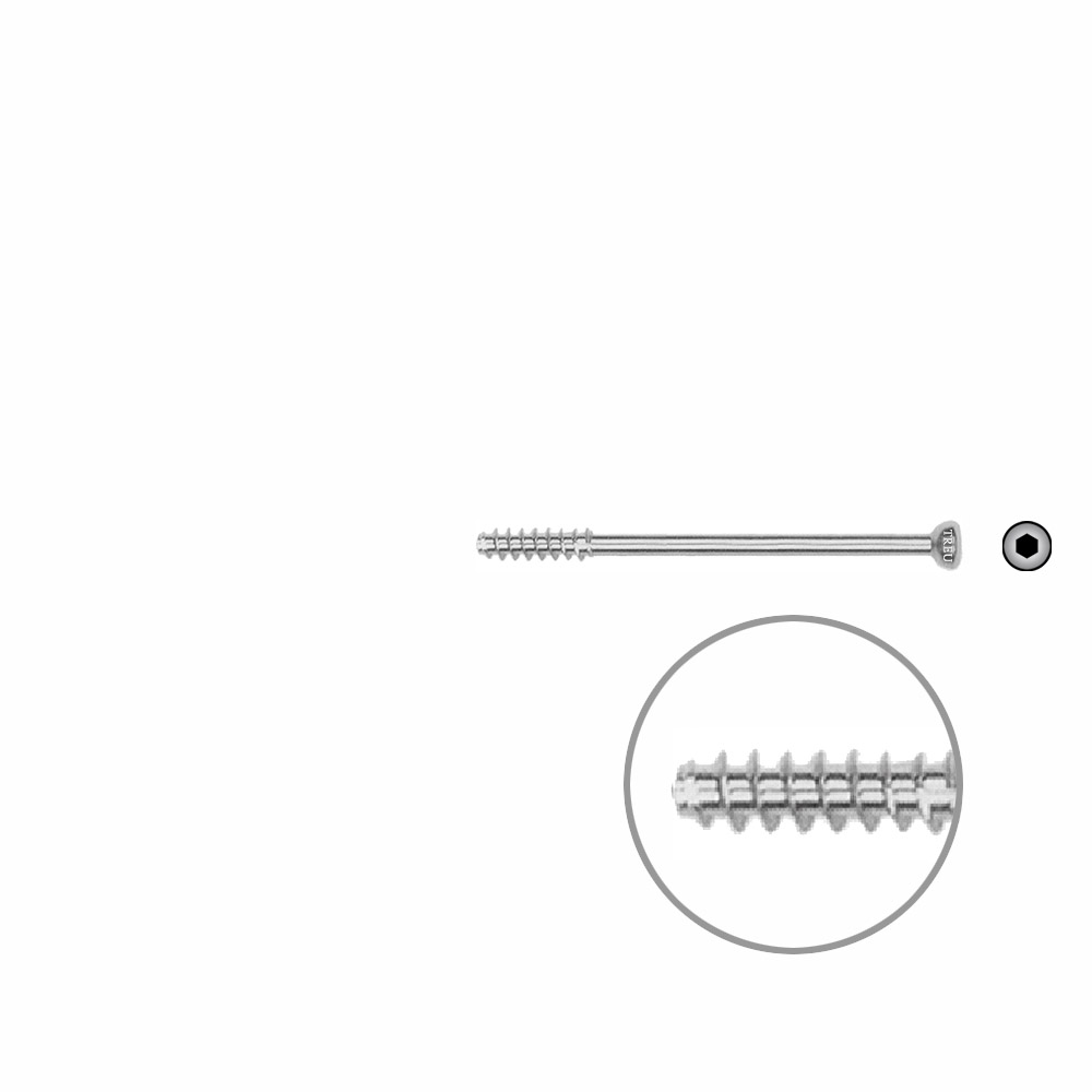 Hollow screw 4,0x46 mm self cutting 