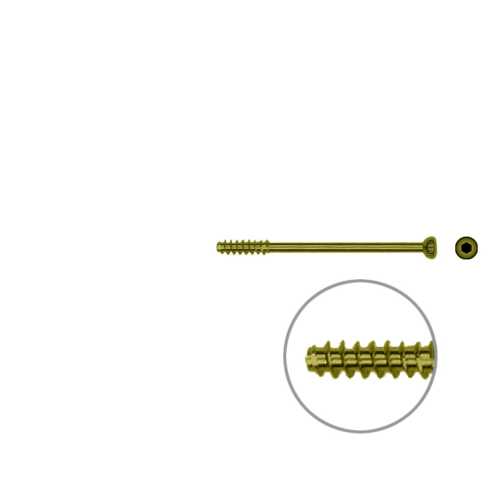 Hollow screw 4,0x46 mm self cutting Titan 