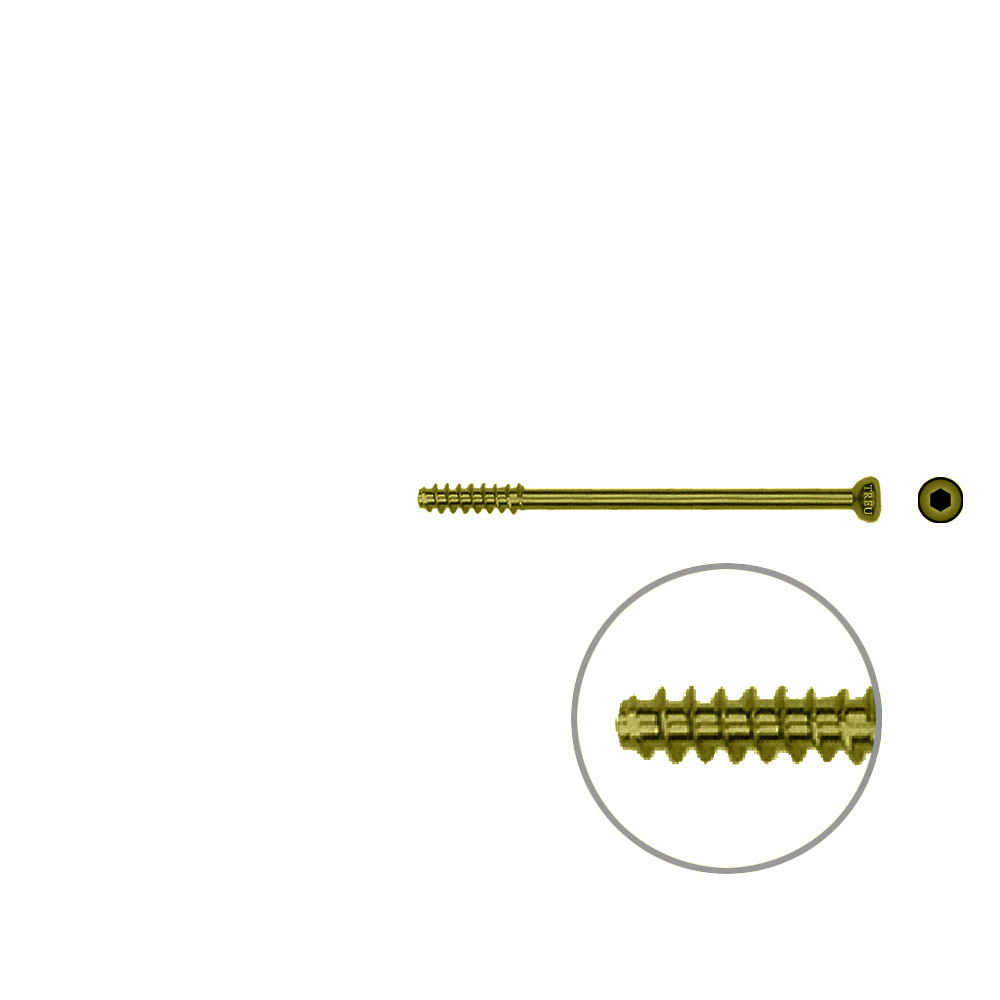 Hollow screw 4,0x48 mm self cutting Titan 