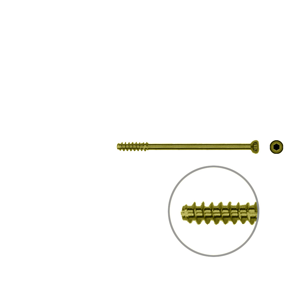 Hollow screw 4,0x50 mm self cutting Titan 