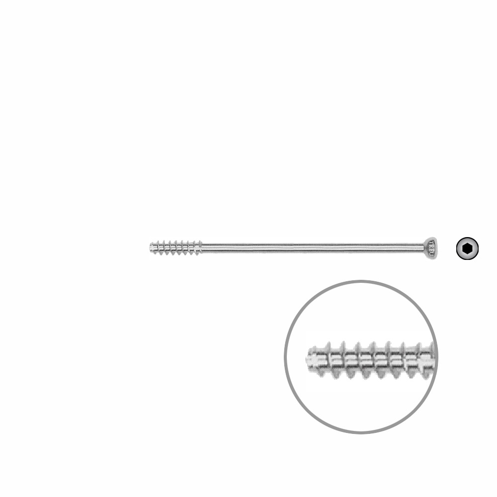 Hollow screw 4,0x60 mm self cutting 