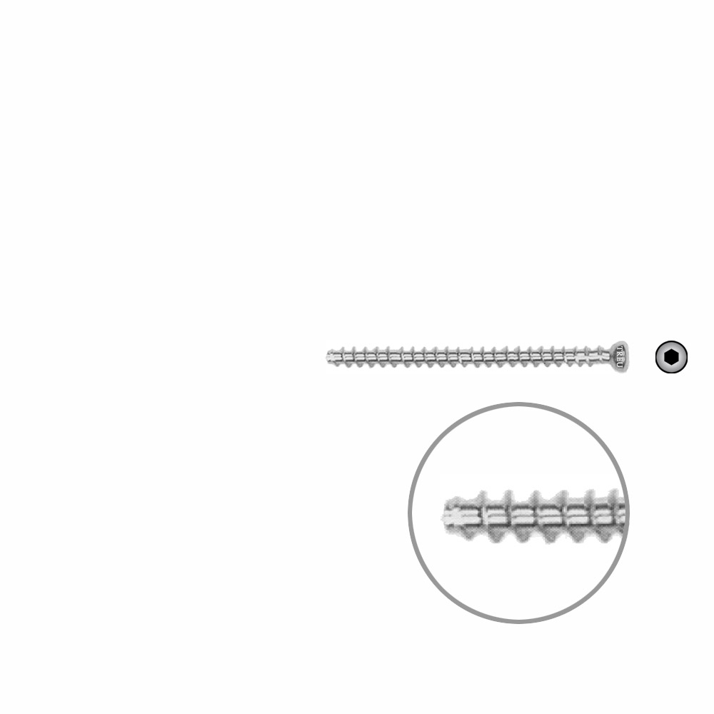 Hohlschraube 4,0 VG 44mm 