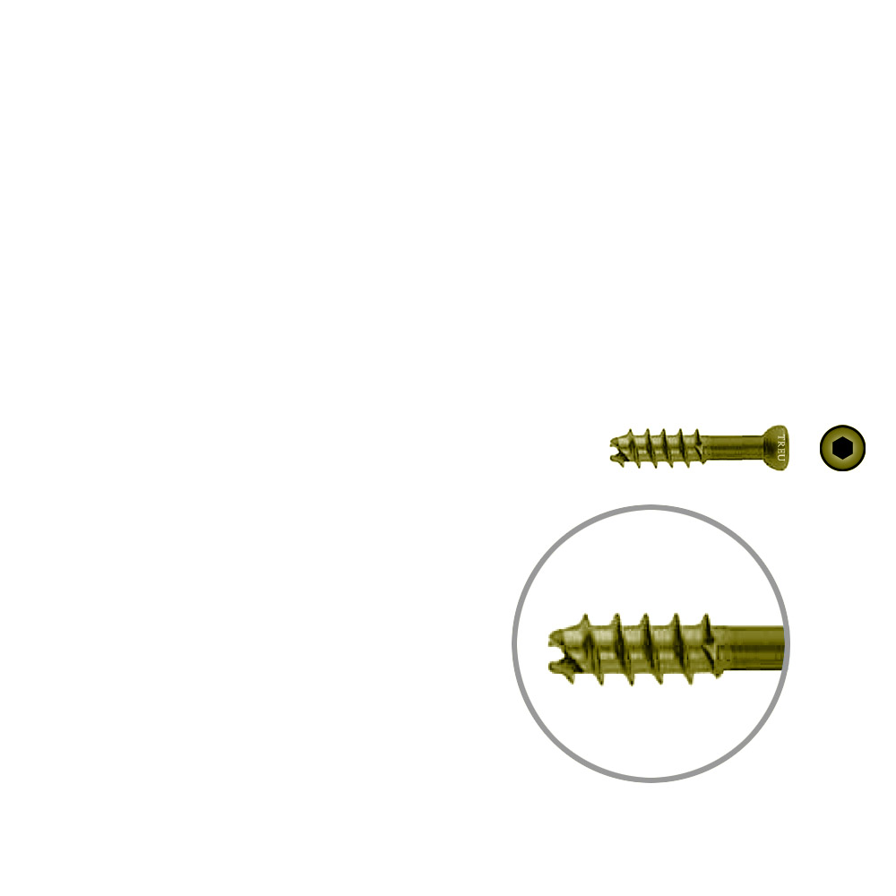 Hollow Screw 7 x 30mm thread 16mm selfcutting, TITAN 