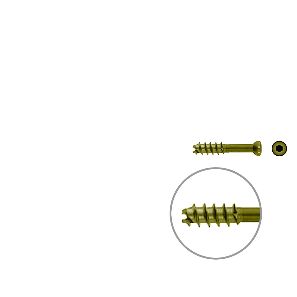 Hollow Screw 7 x 35mm thread 16mm selfcutting, TITAN 