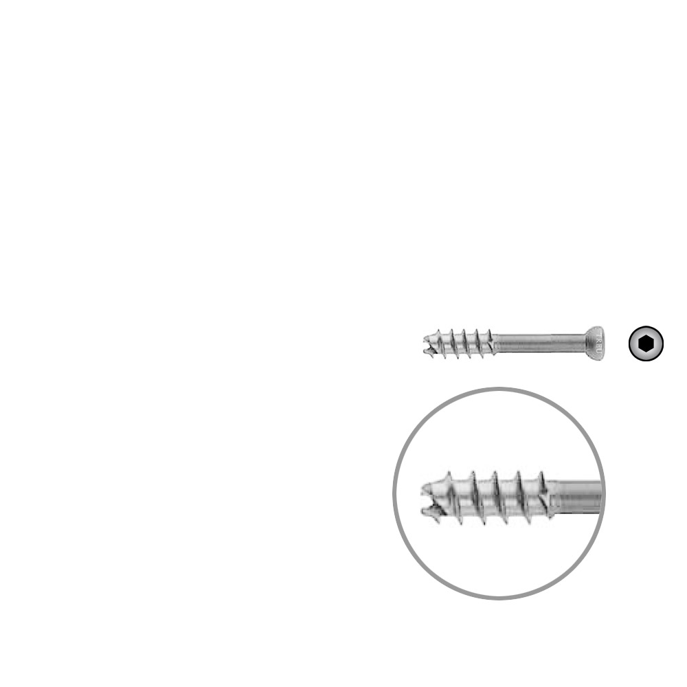 Hollow Screw 7 x 40mm thread 16mm selfcutting, Stainless Steel Dia of head 8,0mm