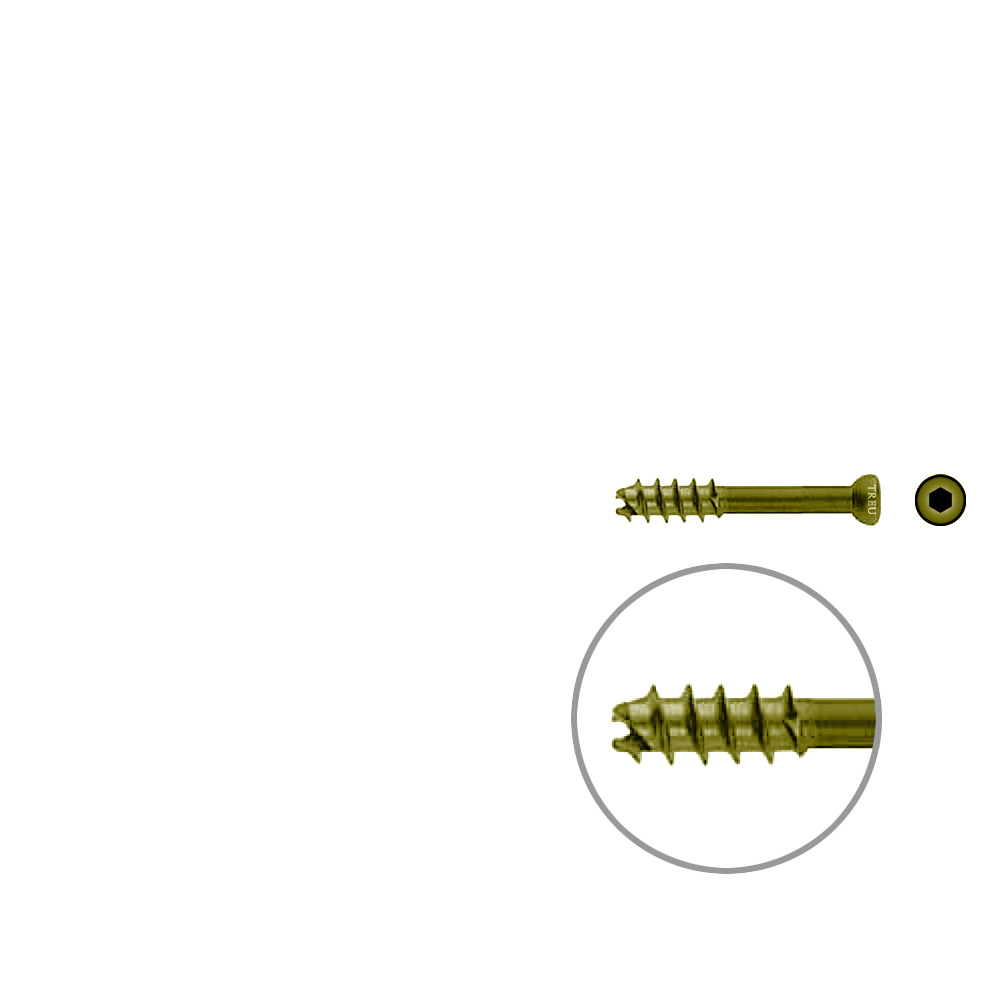 Hollow Screw 7 x 40mm thread 16mm selfcutting, TITAN 