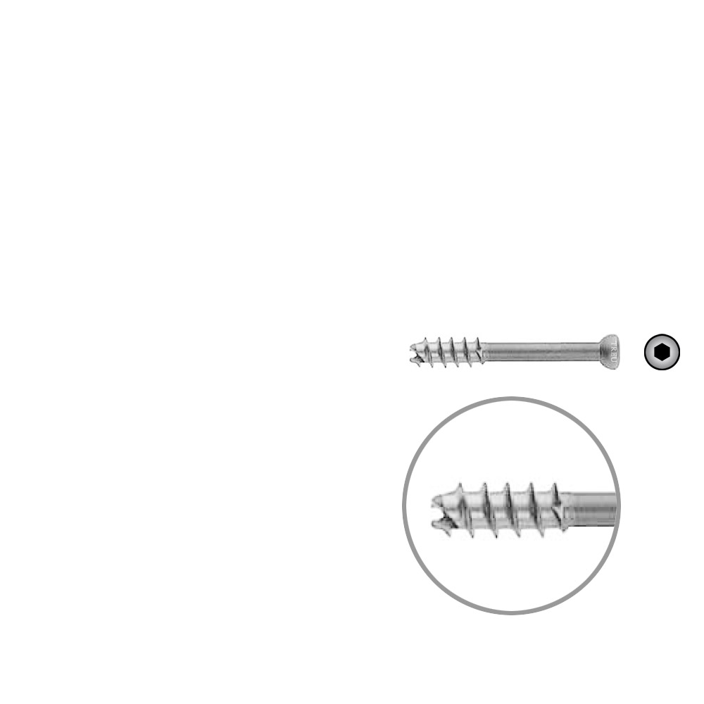 Hollow Screw 7 x 45mm thread 16mm selfcutting, Stainless Steel Dia of head 8,0mm