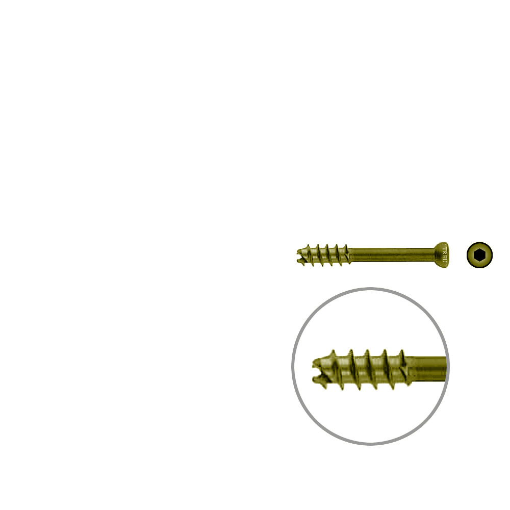 Hollow Screw 7 x 45mm thread 16mm selfcutting, TITAN 