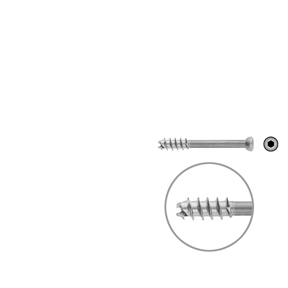 Hohlschraube 7mm Dia x 50mm 16 G selbstschneidend, Stahl Kopf 8,0 mm