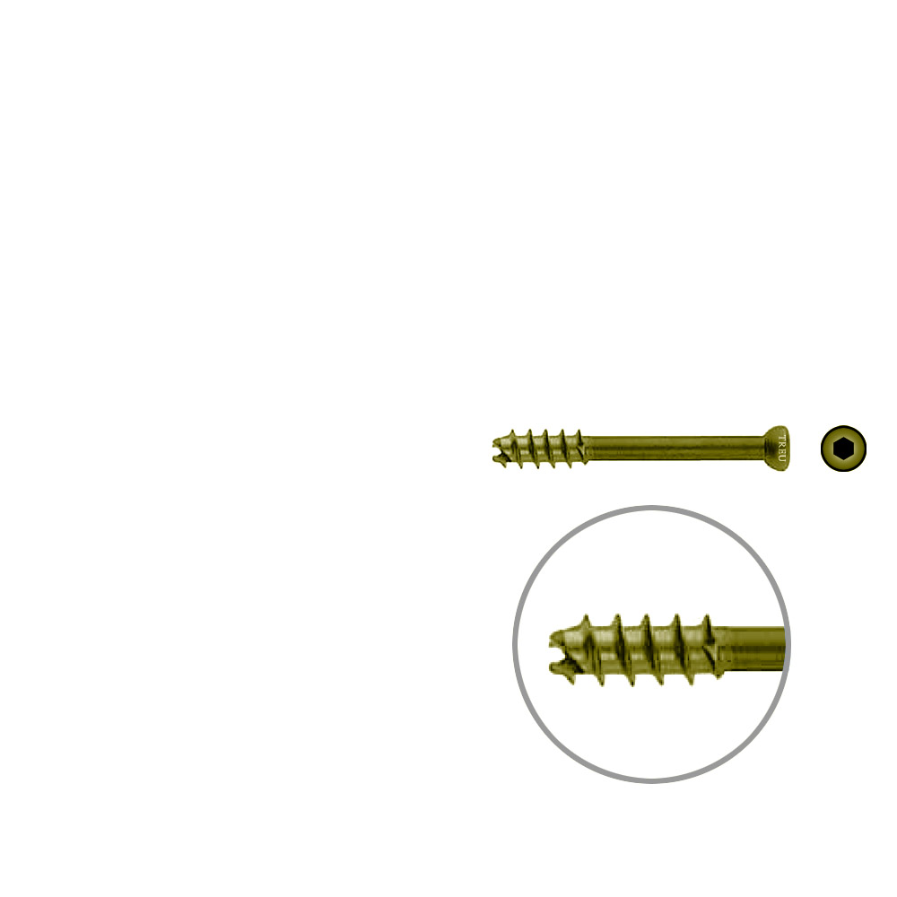 Hollow Screw 7 x 50mm thread 16mm selfcutting, TITAN 