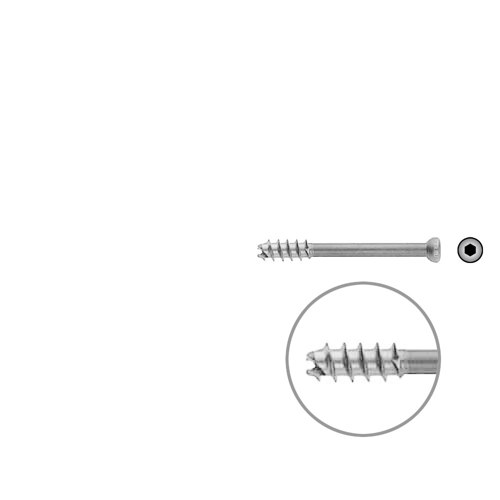 Hollow Screw 7 x 55mm thread 16mm selfcutting, Stainless Steel Dia of head 8,0mm