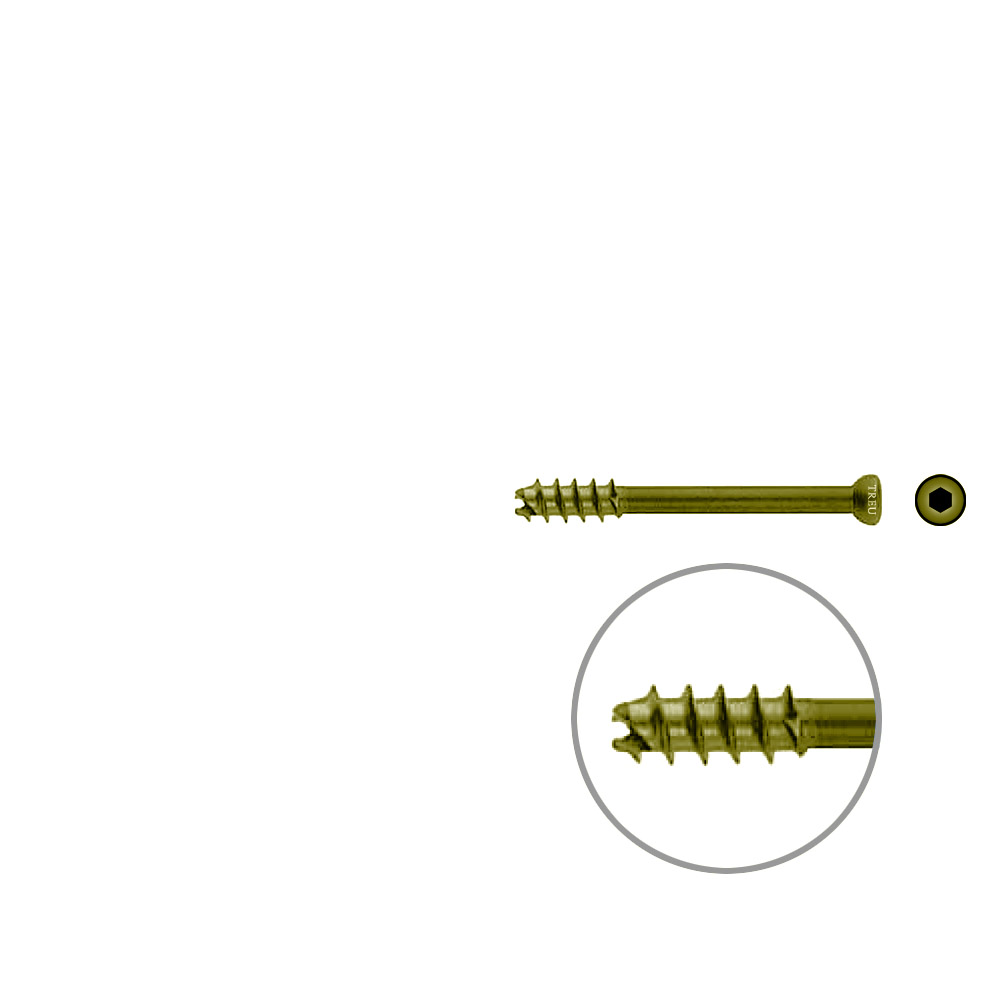 Hollow Screw 7 x 55mm thread 16mm selfcutting, TITAN 