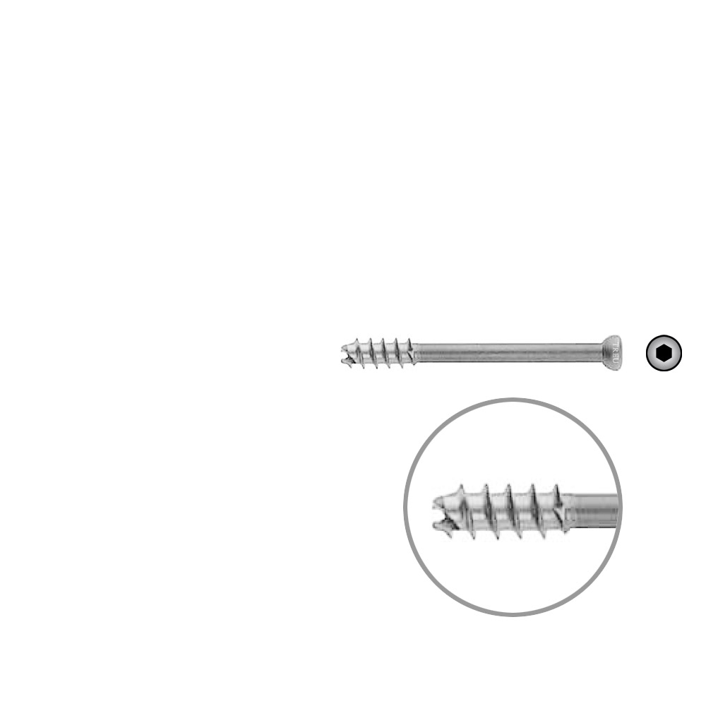 Hollow Screw 7 x 60mm thread 16mm selfcutting, Stainless Steel Dia of head 8,0mm