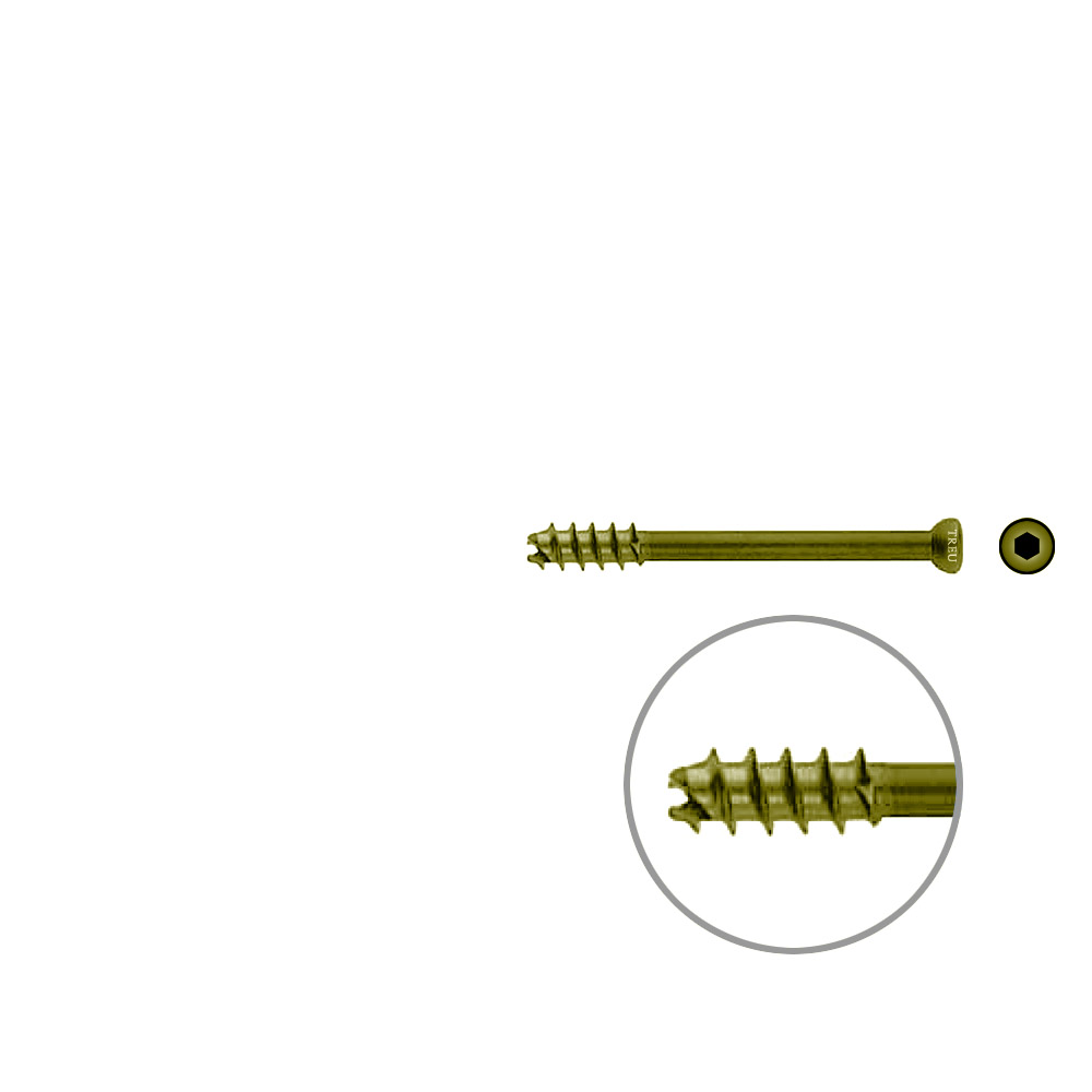 Hollow Screw 7 x 60mm thread 16mm selfcutting, TITAN 