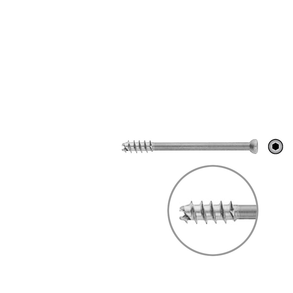 Hollow Screw 7 x 70mm thread 16mm selfcutting, Stainless Steel Dia of head 8,0mm