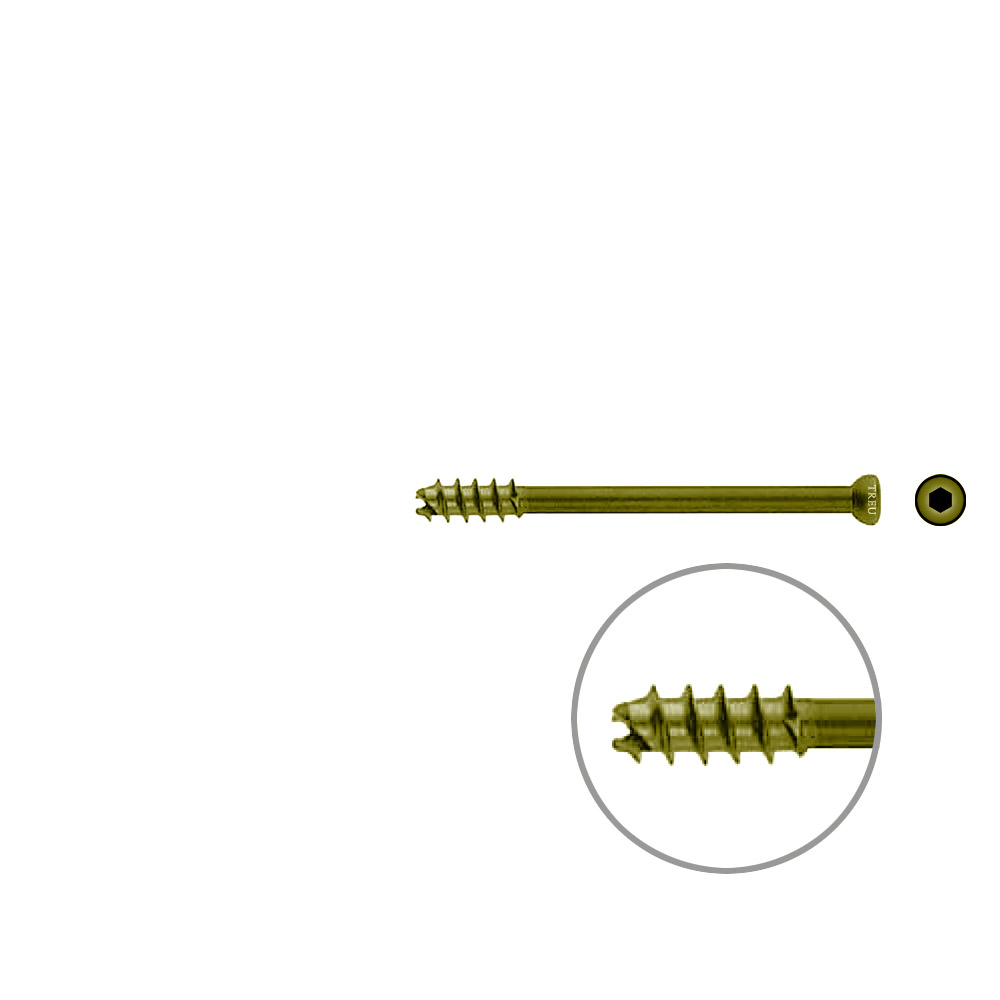 Hollow Screw 7 x 70mm thread 16mm selfcutting, TITAN 