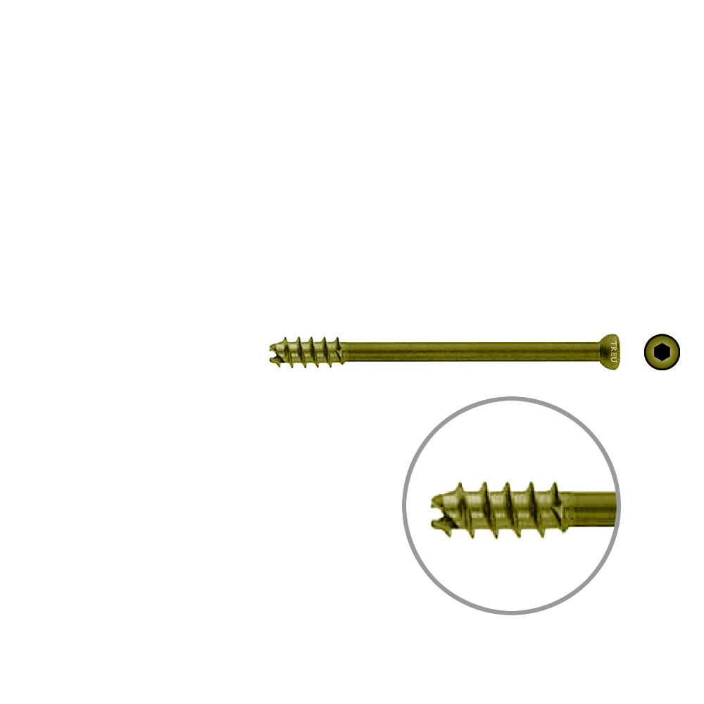 Hollow Screw 7 x 75mm thread 16mm selfcutting, TITAN 