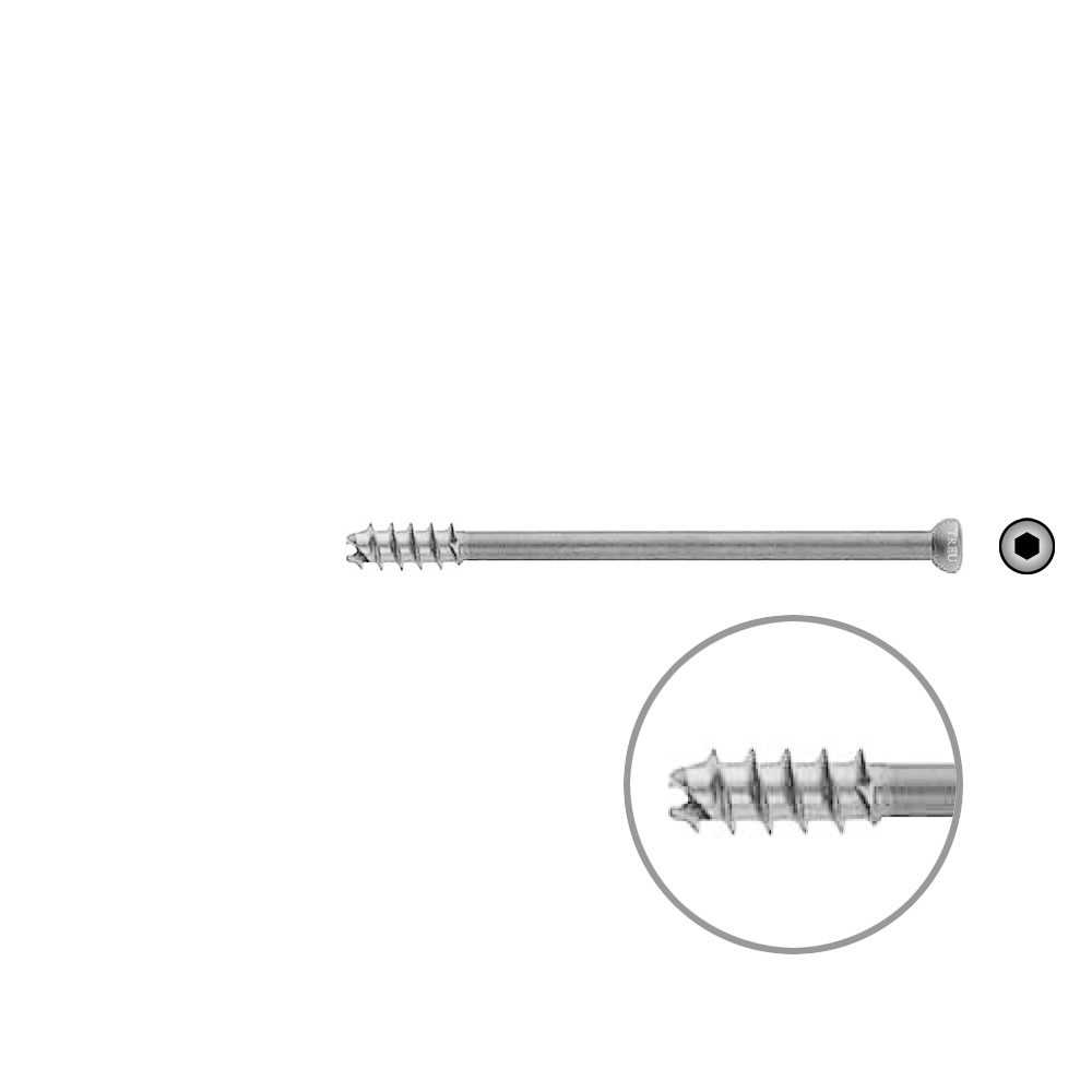 Hollow Screw 7 x 85mm thread 16mm selfcutting, Stainless Steel Dia of head 8,0mm