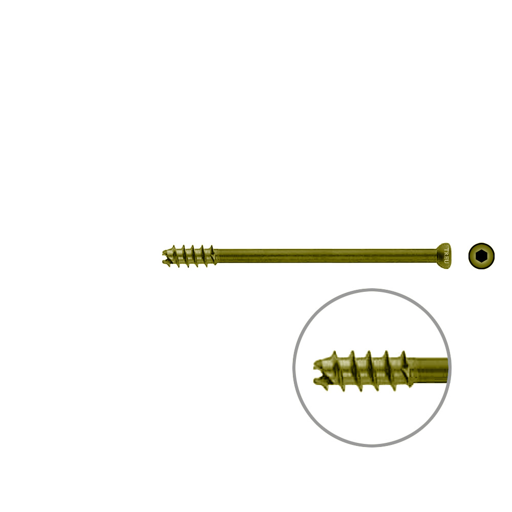 Hollow Screw 7 x 85mm thread 16mm selfcutting, TITAN 