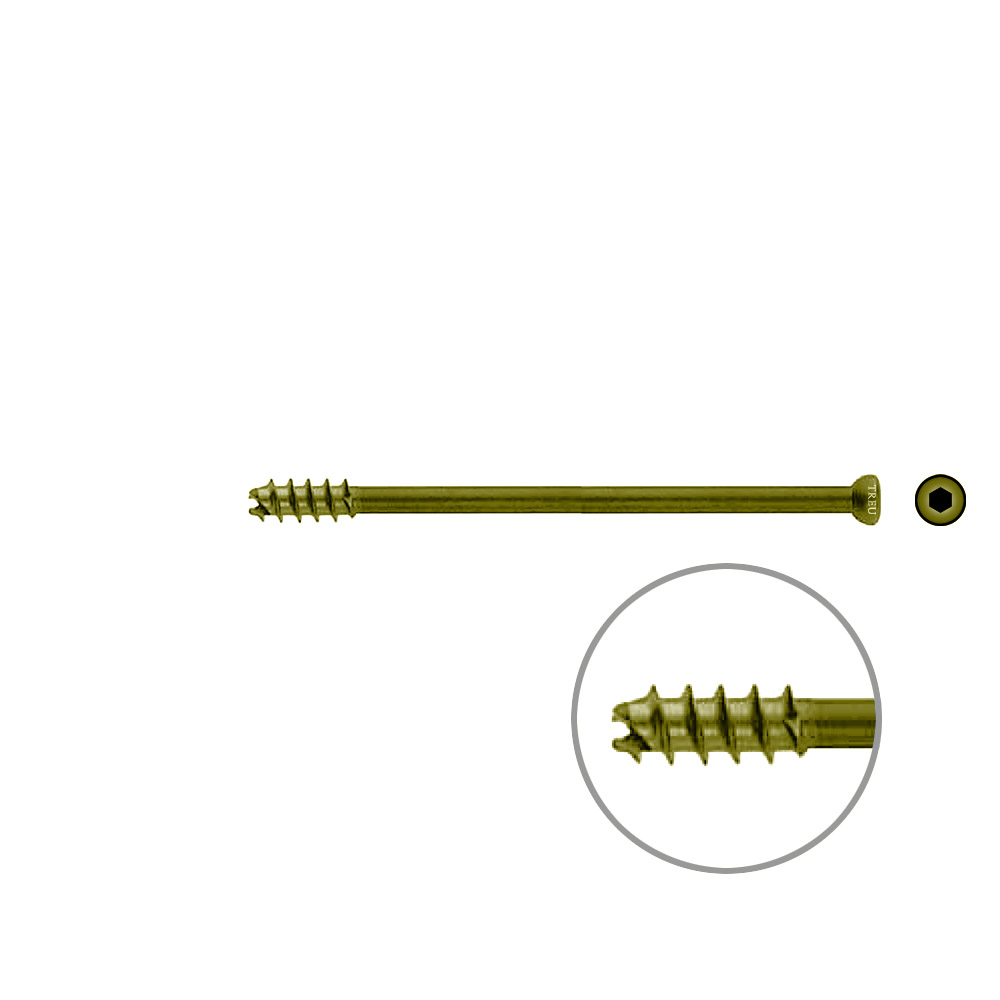 Hohlschraube 7mm Dia x 95mm 16 G selbstschneidend, TITAN 