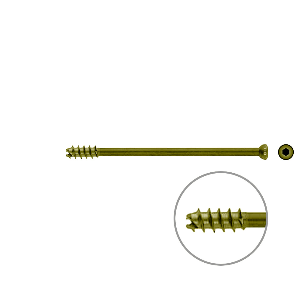 Hollow Screw 7 x 100mm thread 16mm selfcutting, TITAN 