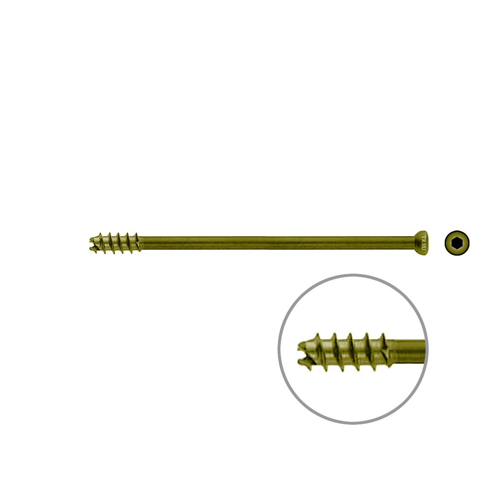 Hollow Screw 7 x 105mm thread 16mm selfcutting, TITAN 