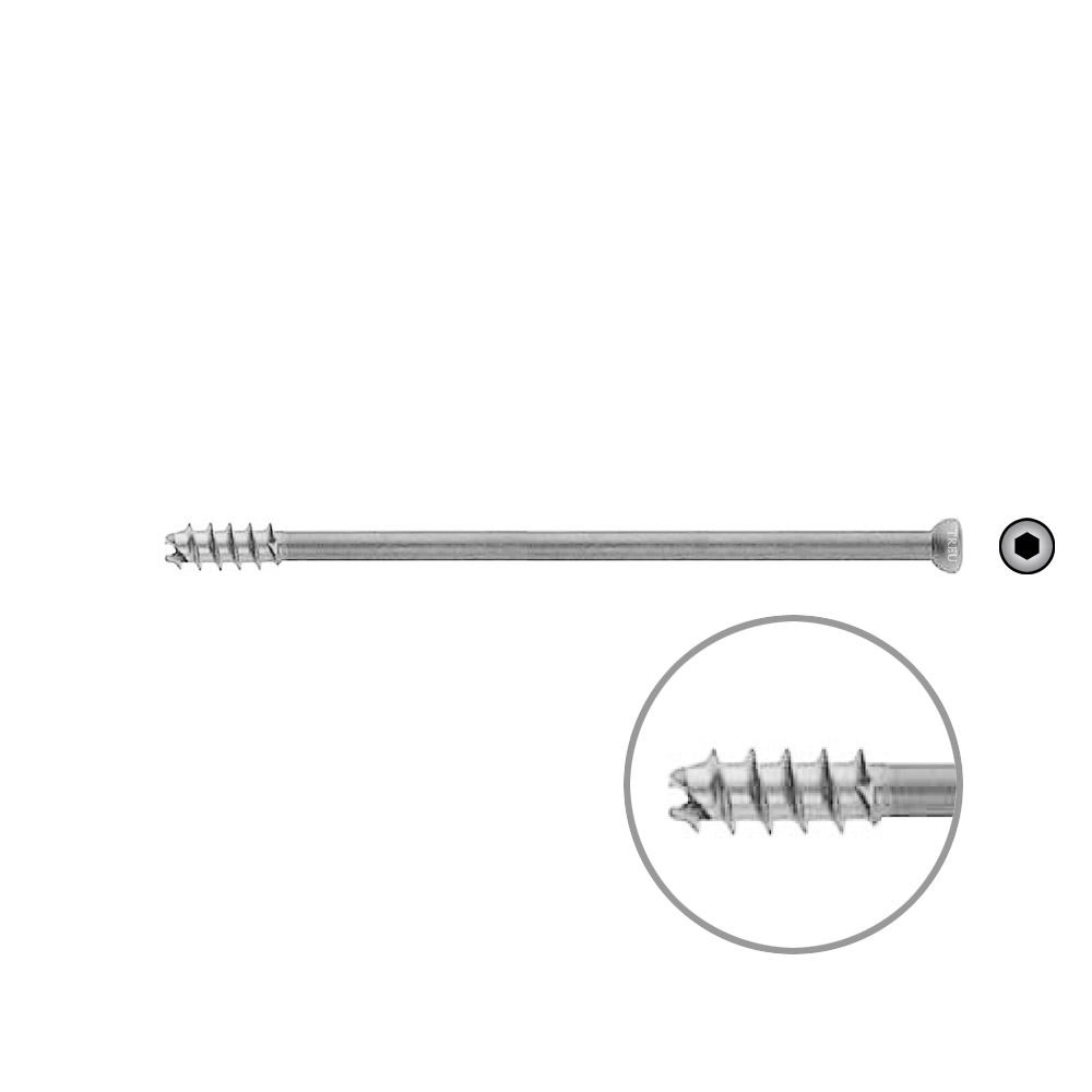 Hohlschraube 7mm Dia x 110mm 16 G selbstschneidend, Stahl Kopf 8,0 mm