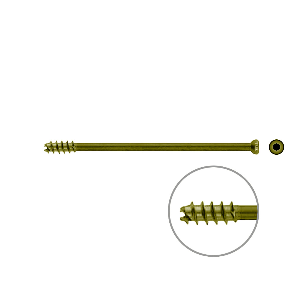 Hollow Screw 7 x 110mm thread 16mm selfcutting, TITAN 